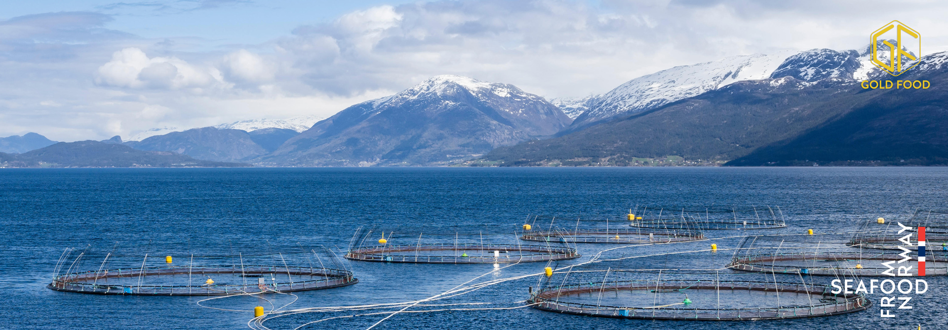 Seafood From Norway